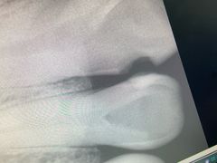 -上海交通大学医学院附属瑞金医院(总院)