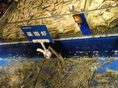 -深海壹品海鲜自助餐厅(吾悦广场店)