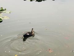 -前关湿地公园