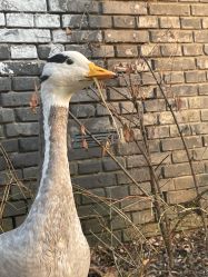 -红砖美术馆-红砖院子·宴会厅