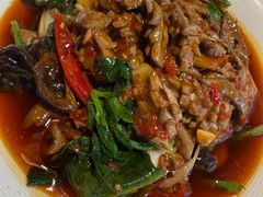 -陈麻婆豆腐总店