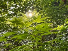 -七彩云南古滇温泉山庄