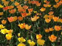 -长春公园(普阳街道)