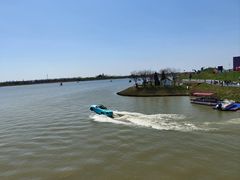 -荷兰花海