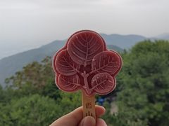 -香山公园