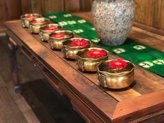 -松赞拉萨林卡酒店