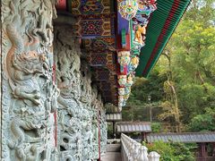 -宝莲禅寺