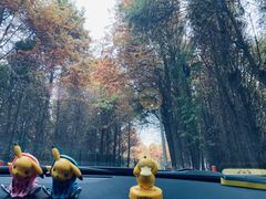 -前小桔亲子创意农场·草莓采摘·露营烧烤