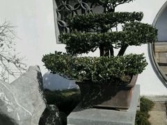 -绮园景区