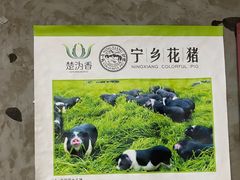 -白露塘杀猪粉(药王街店)