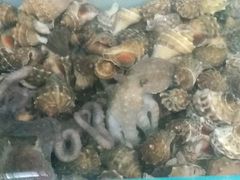 -宾朋海鲜特色美食餐厅·纯手工鲅鱼水饺(兴海路店)