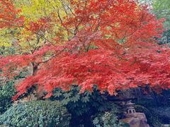 -天目湖涵田度假村