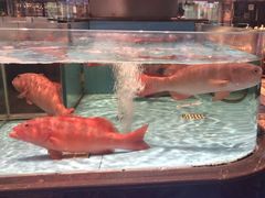 -阿伟海鲜楼·福建菜(延寿店)