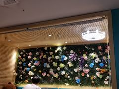 -青瓷火锅料理(西单大悦城店)