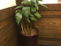 -老灶房-四川土菜(铁牛广场店)