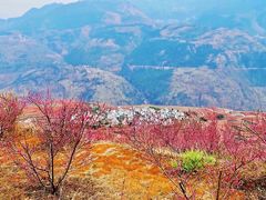 -红土地风景区