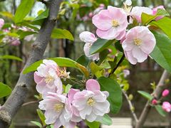 -元大都城垣遗址公园