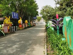 -南宫五洲植物乐园