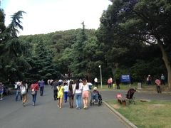 -上海佘山国家森林公园西佘山园