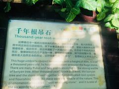 -呀诺达热带雨林