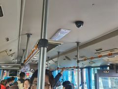-乌镇东栅景区
