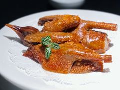 乳鸽-浙C老邻舍(西城海错店)