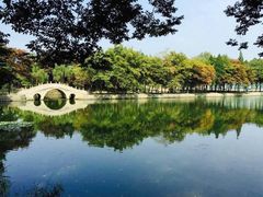 -紫霞湖公园