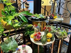 -深圳威尼斯英迪格酒店-邻芙花廊下午茶·NINFA GALLERY·蛋糕·咖啡