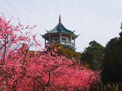 -无锡梅园公园