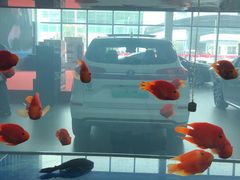 -上海华帆旗开比亚迪4S店(浦东北路店)