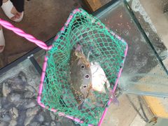 iphone_upload_pic-三亚海韵度假酒店·渔人码头海鲜火锅BBQ自助餐厅·落日吧