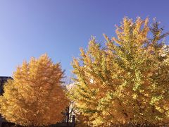 -辽宁大学(崇山校区)