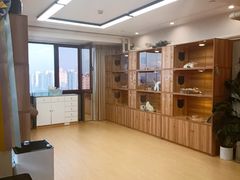 -猫十亿·布偶金渐层·曼基康矮脚猫舍(青年路店)