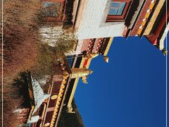 -稻城亚丁景区-冲古草甸