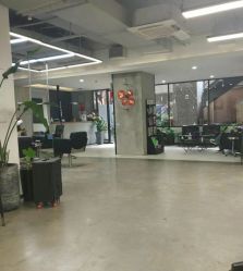 -蚂蚁造型俱乐部