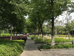 -白塘生态植物园