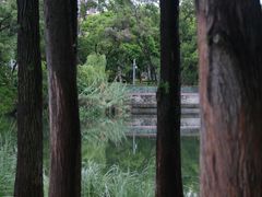 -四海公园(南山区)