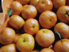 -胡家庙水果批发市场