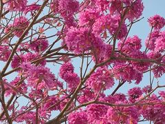 -白石龙音乐公园