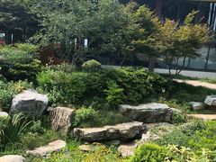 -青枫公园