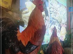 -食德喜·阳山鸡王食研基地