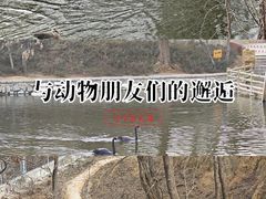 -石家庄市动物园