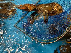 -麦德龙(郑东店)