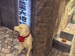 -破瓦寒窑·地摊烤羊排