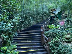-天目湖山水园