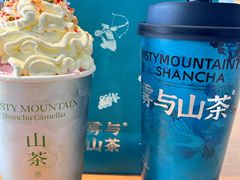 -雾与山茶(大禹城店)
