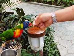 -南宫五洲植物乐园