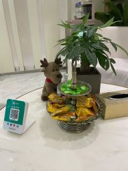 -健身堂科技美肌SPA
