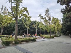 -苏州河梦清园环保主题公园