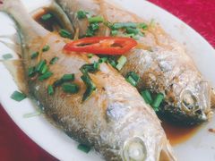 -蛇口康乐快餐鱼仔档(翠苑小区店)